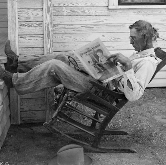 Meet your Posher, Darryl - Picture 1 of 1